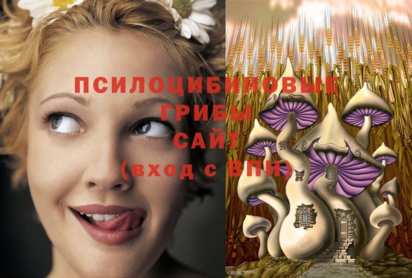 соль курить ск Ладушкин