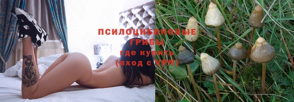 ПСИЛОЦИБИНОВЫЕ ГРИБЫ Лагань
