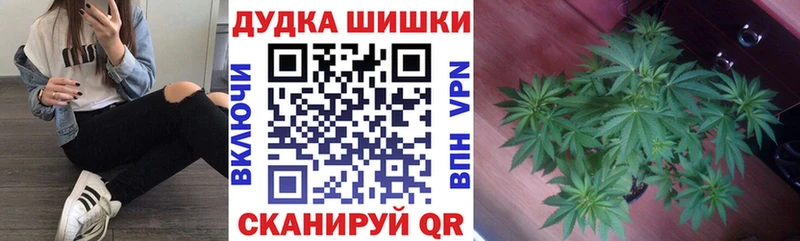 Канабис семена Купить где Карабулак